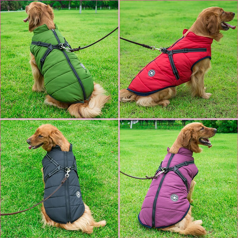 Slitstark hundjacka, vattentät & vindtät med reflexer. Optimal hundutrustning för vinterpromenader.