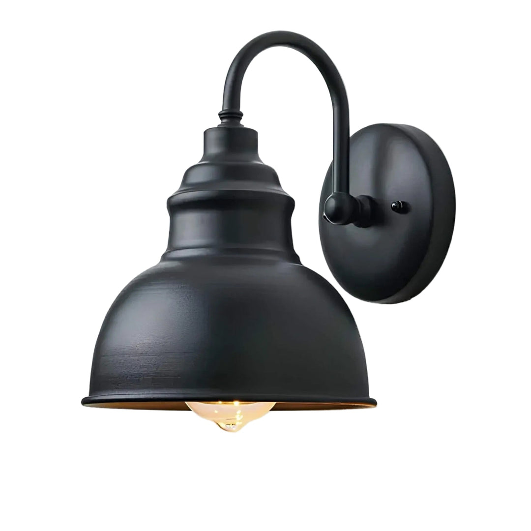 Vintage utomhus vägglykta för trädgård och uteplats, klassisk fasadbelysning i rostfri design.